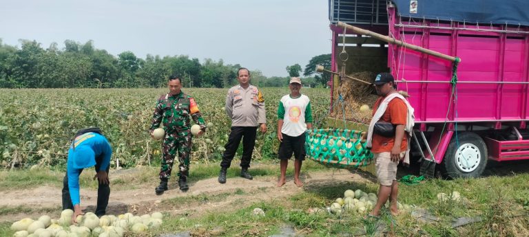 Bhabinkamtibmas Tunjungan Sambangi Petani Melon, Ajak Lawan Hoaks dan Jaga Keamanan
