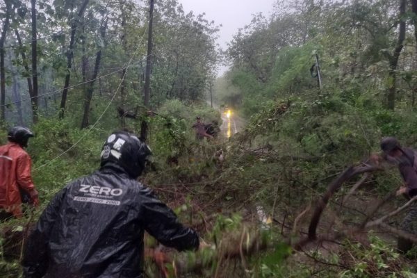 Gerak Cepat, Polsek Randublatung Bersama Warga Singkirkan Pohon Tumbang di Jalan Raya Randublatung-Blora